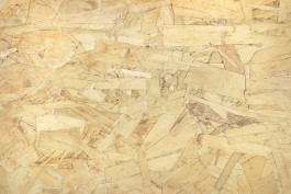 Petra Hies – Malerei