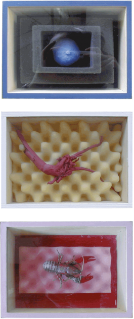 Petra Hies – Malerei